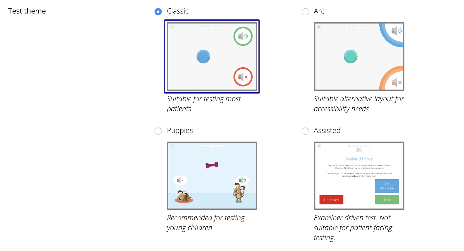 A screenshot of the Test theme setting.