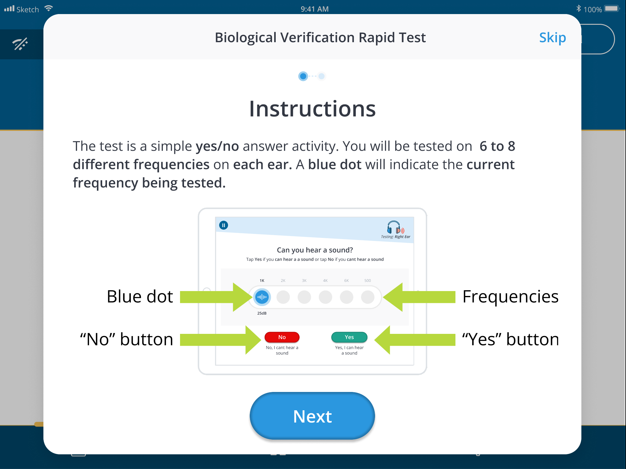 A screenshot of the rapid test's instructions.
