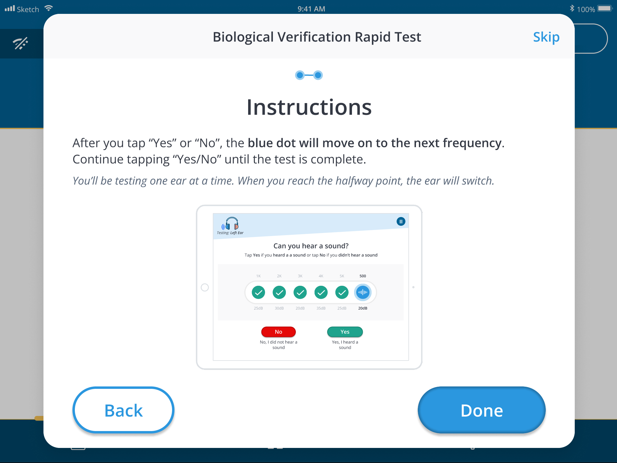 A screenshot of the rapid test's instructions.