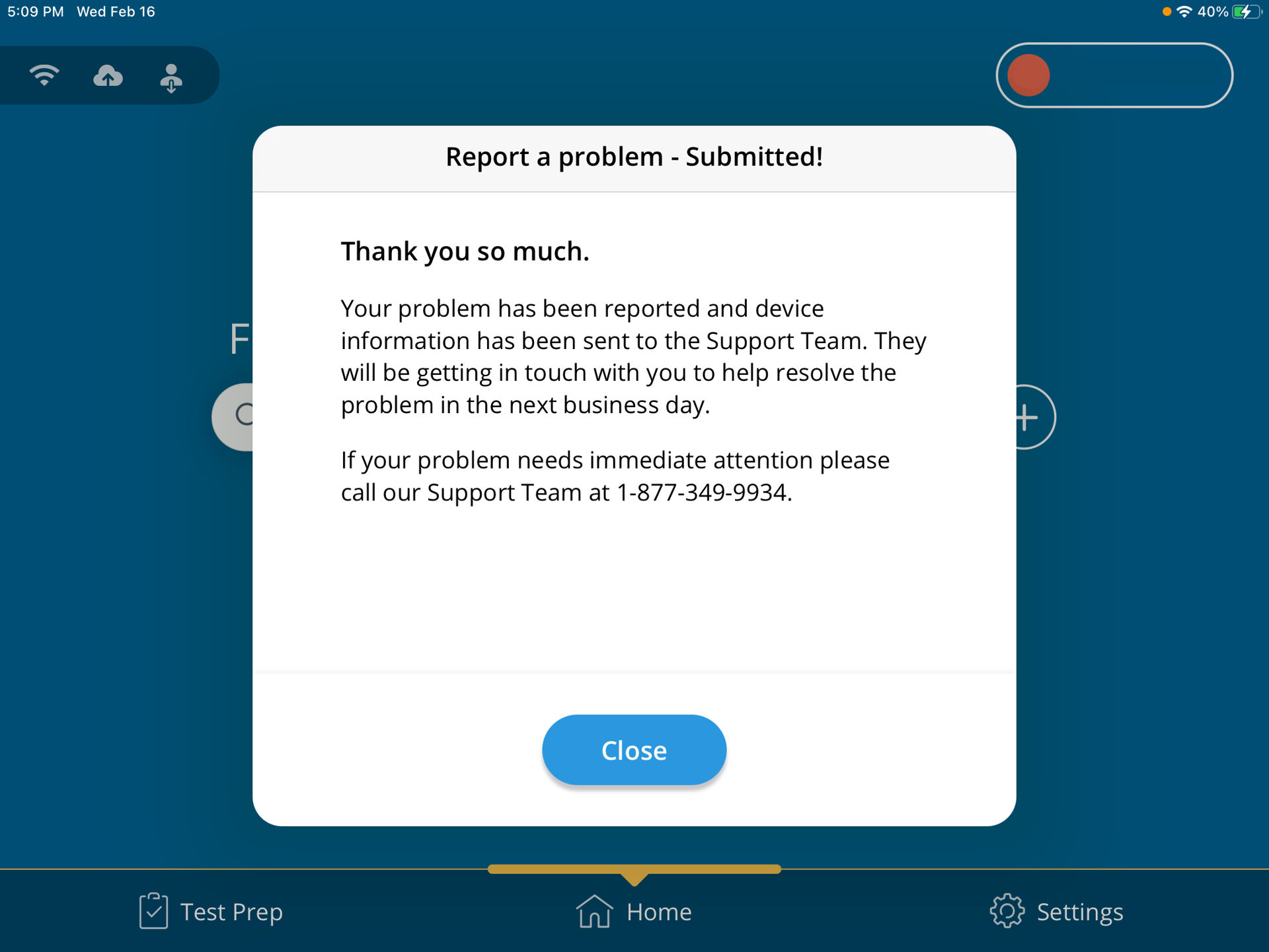 A screenshot of the Report a Problem form after the issue has been submitted.