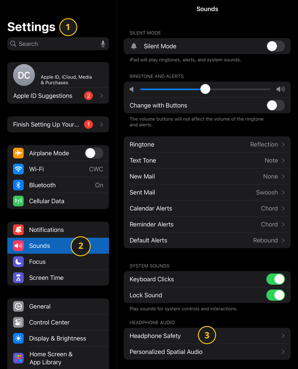 A screenshot of an iPad's settings.