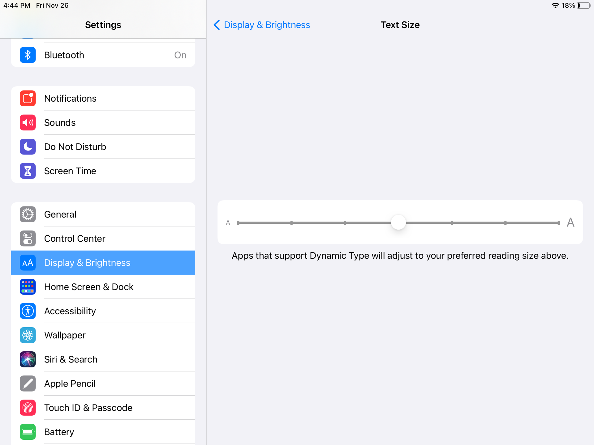 A screenshot of the iPad's Text Size settings.