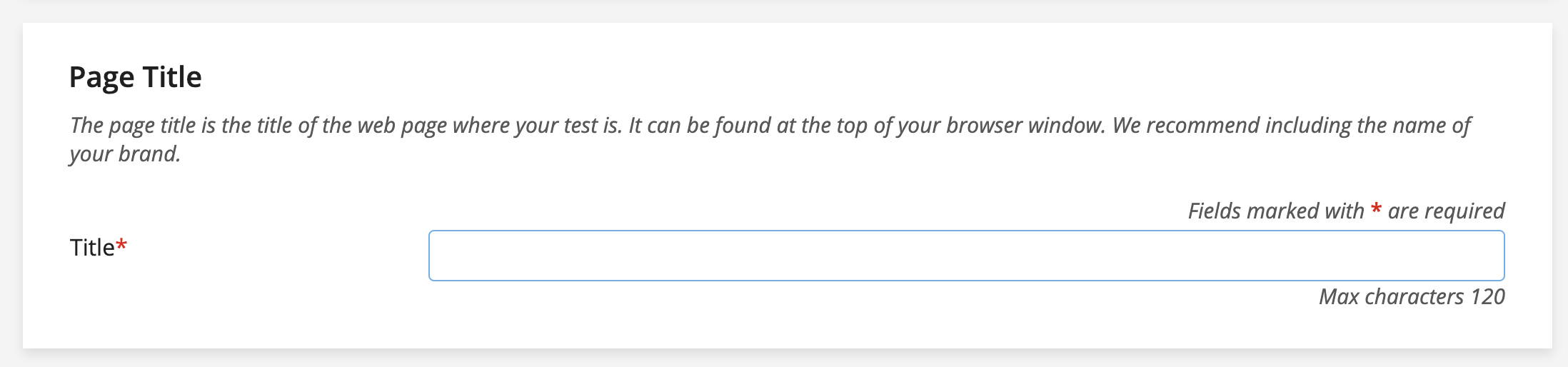 A screenshot of the Page Title branding setting in SHOEBOX Online.
