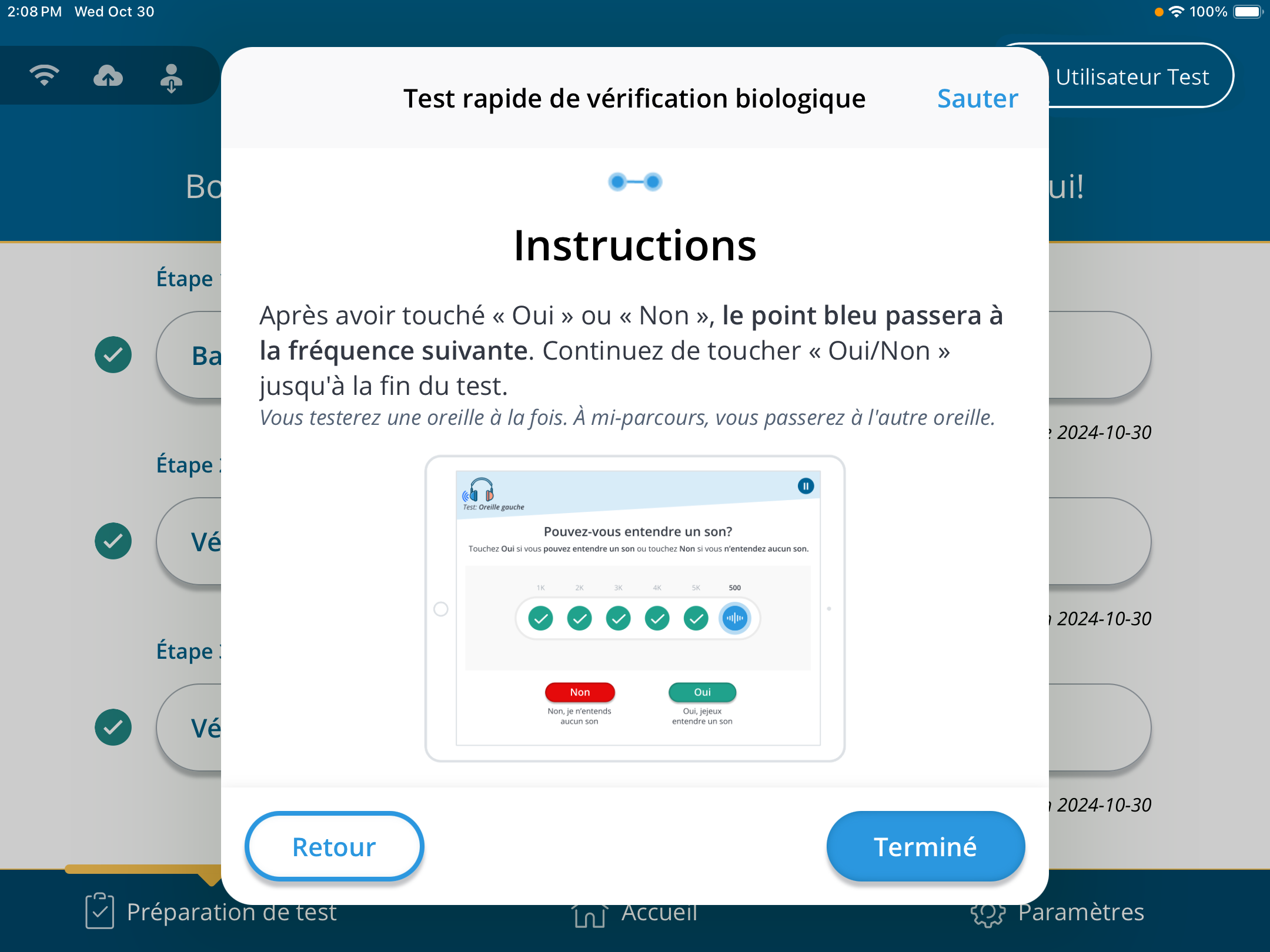 Une capture d'écran des instructions du test rapide.