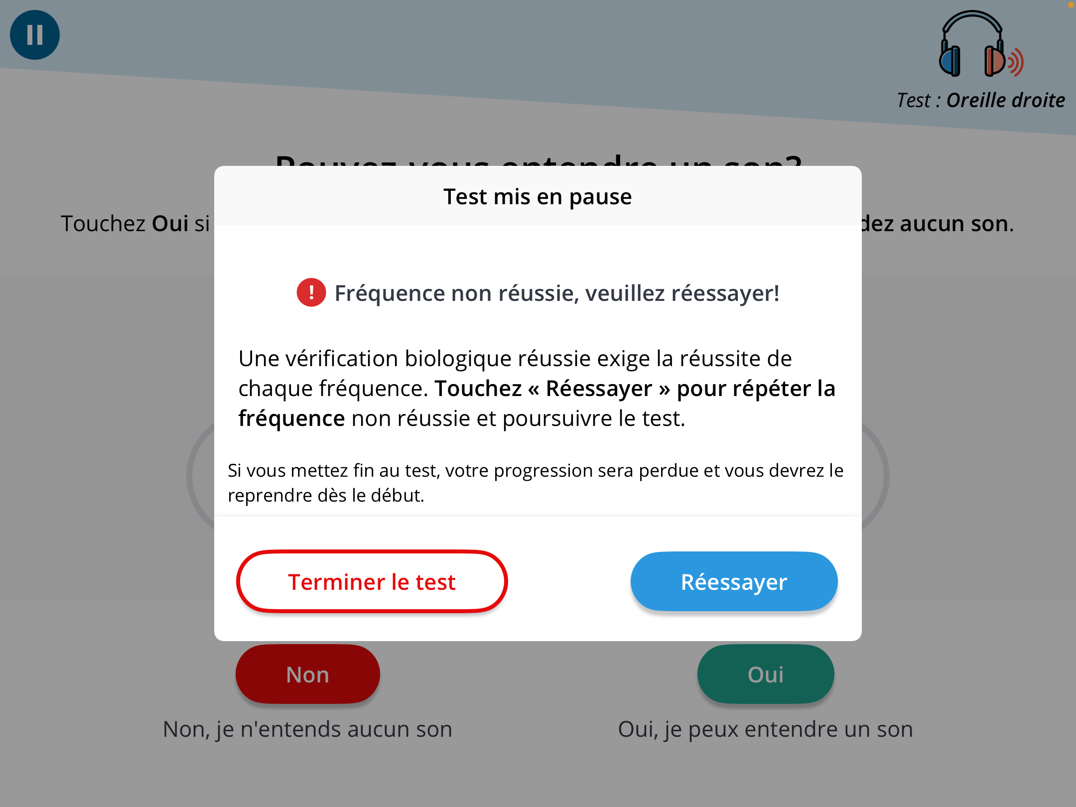 Une capture d'écran de la fenêtre contextuelle qui s'affiche lorsqu'un test rapide est mis en pause.