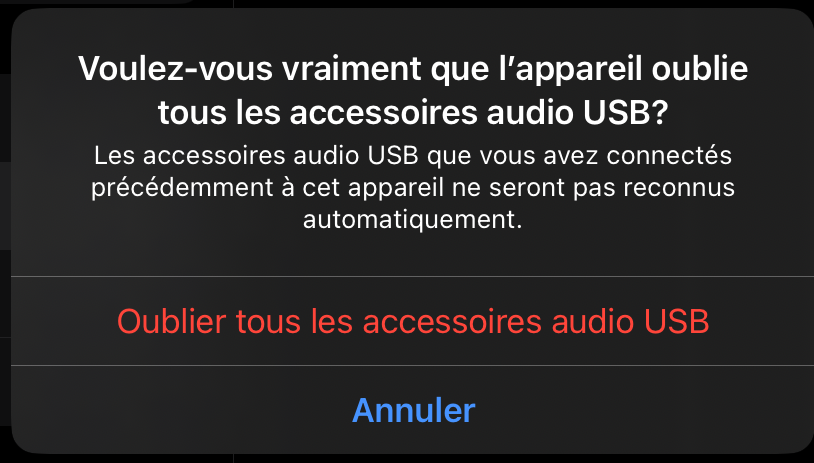 Capture d'écran du message de confirmation de l'iPad lors de la suppression de tous les accessoires audio USB.