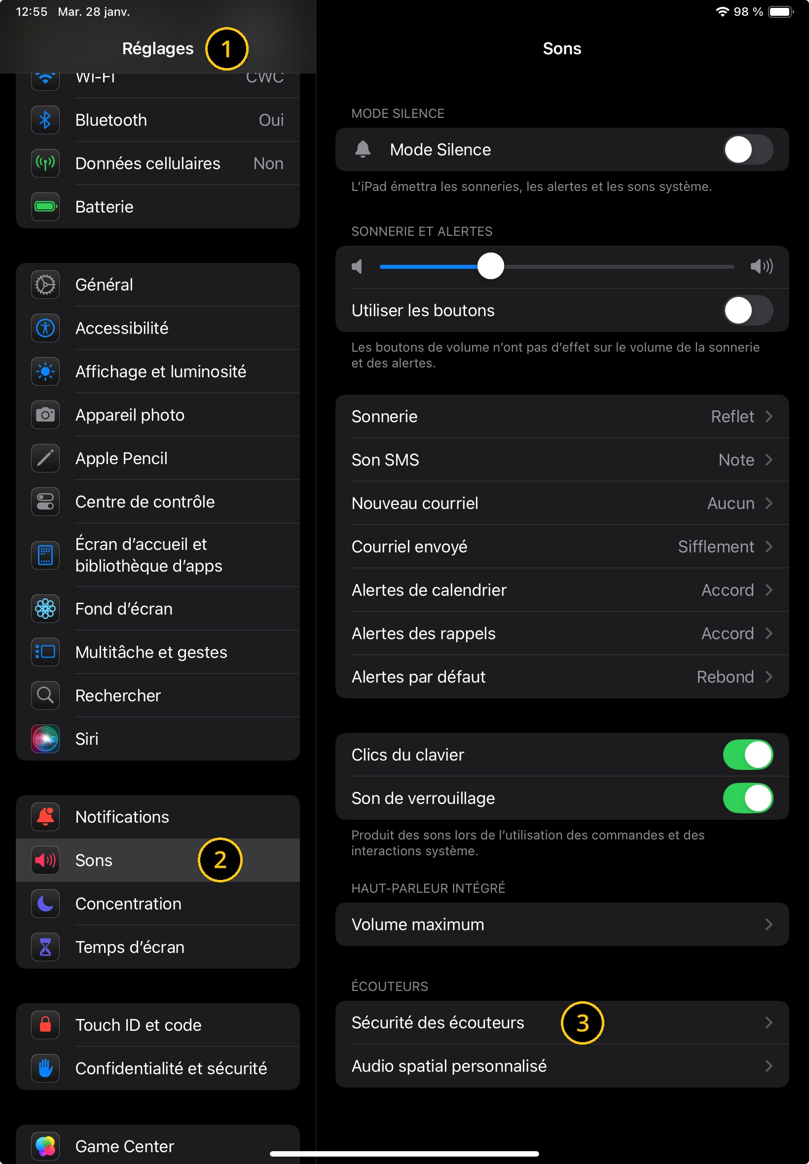Capture d'écran des paramètres d'un iPad.