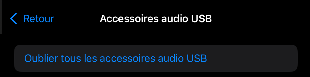 Capture d'écran des paramètres des accessoires audio USB de l'iPad.