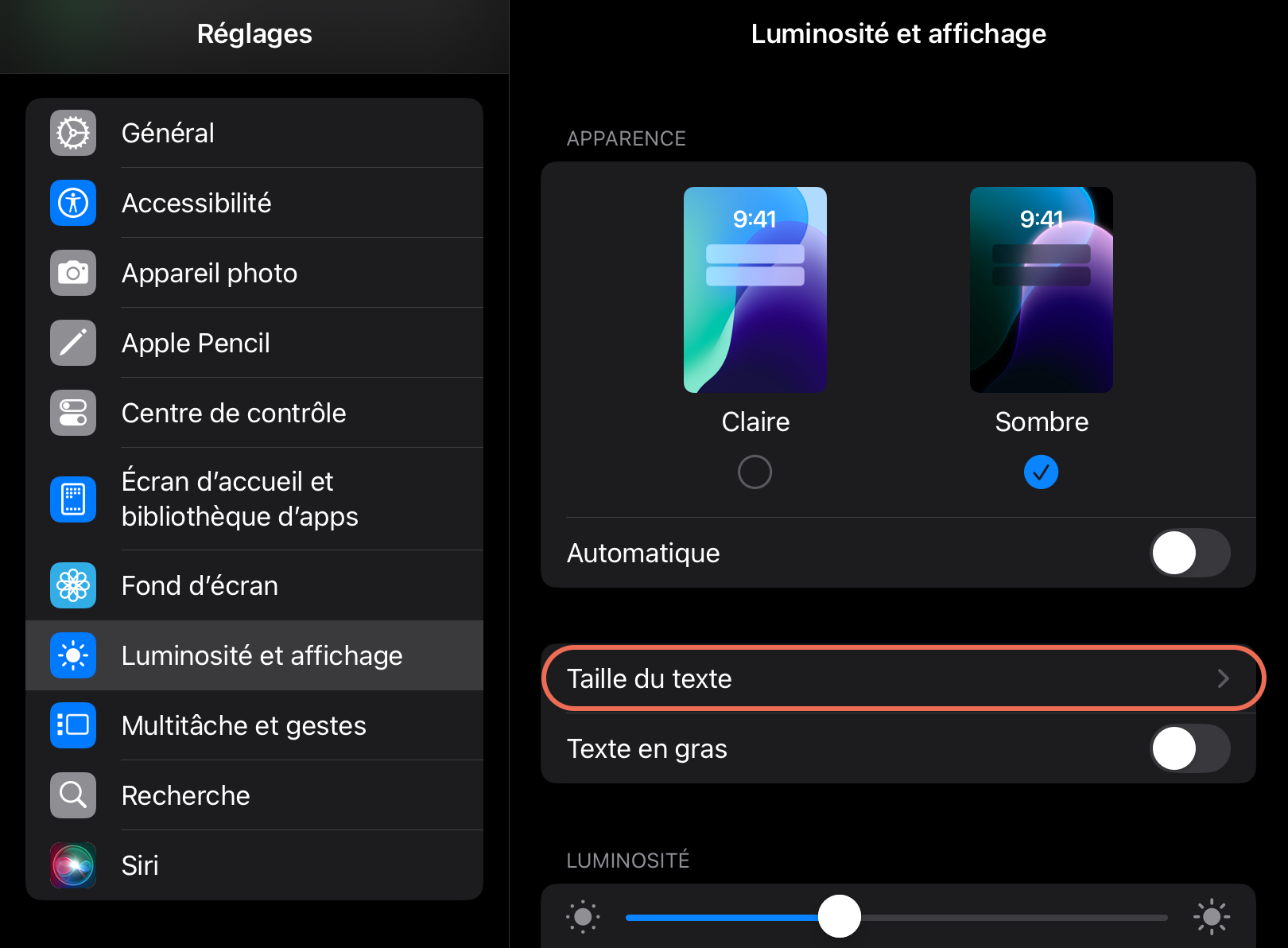Une capture d'écran des paramètres d'affichage et de luminosité de l'iPad.
