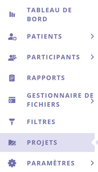 Capture d'écran du menu latéral du Portail de gestion des données, avec l'option « Projets » sélectionnée.