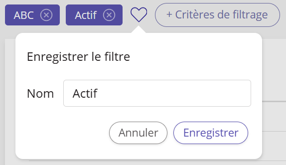 Capture d'écran montrant la réenregistrement d'un filtre enregistré avec des critères mis à jour.