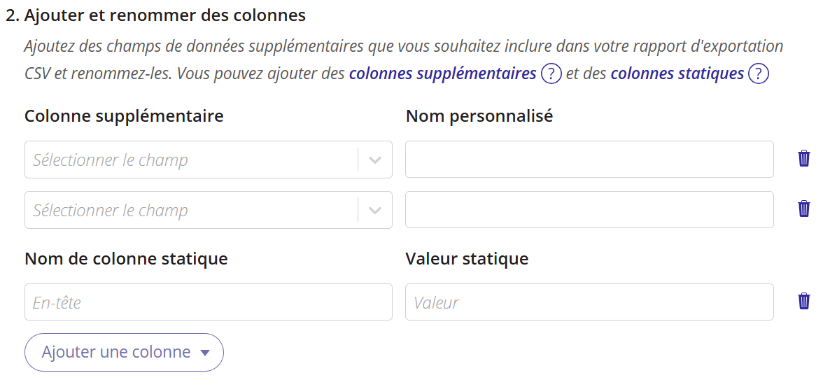 Capture d'écran présentant les paramètres de personnalisation lors du renommage de colonnes groupées pour un rapport.