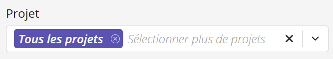 Une capture d'écran du champ « Projet » avec tous les projets sélectionnés.