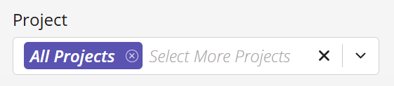 A screenshot of the Project field with all projects selected.